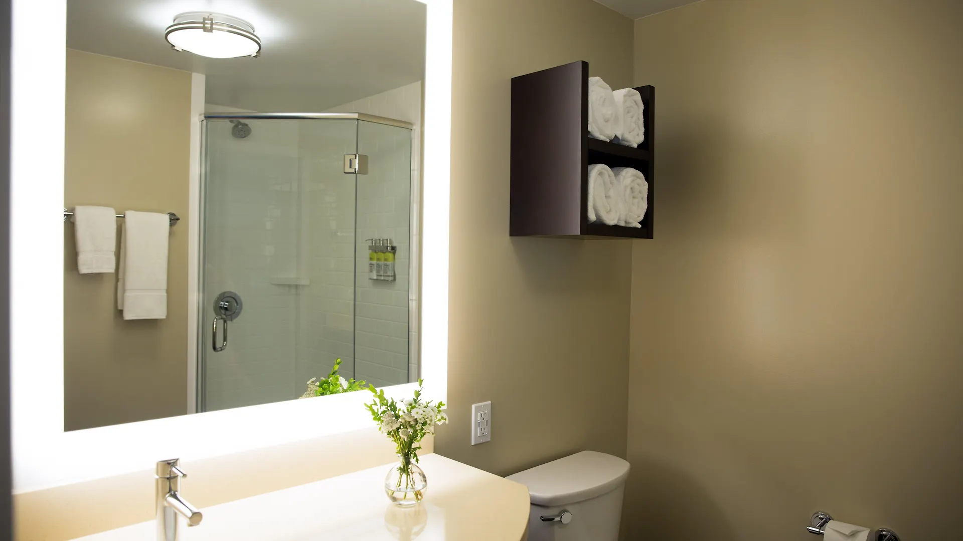 Hotel Staybridge Suites Seattle - South Lake Union By Ihg